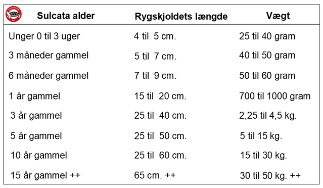 Anlæg med afrikanske arter. Sporeskildpadde. Leopardskildpadde og dværgpapegøjer. Bemærk væggene er ekstra sikret, med kraftige og gennembrudssikre plader. Foto KevinB.