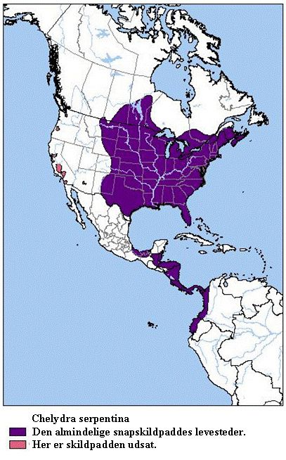 Bemærkning til kort: Nye oplysninger. Chelydra serpentina acutirostris - Sydamerikansk snapskildpadde. Denne skildpadden har tidligere været placeret, som underart til Chelydra serpentina. Holder til i Mellem-, og Sydamerika.
1. Chelydra serpentina serpentina, lever i det sydlige og østlige Canada, ned i gennem det østlige USA.
2. Chelydra serpentina osceola, lever i det sydlige USA, omkring Florida.
3. Chelydra serpentina rossignoni, lever fra det sydlige Veracruz i Mexico, sydover gennem Guatemala til Caribisk Honduras.
4. Chelydra serpentina acutirostris, lever fra det nordlige Honduras, østlige Nicaragua, Costa Rica over Panama, ned til Colombia og Ecuador ud mod Stillehavet. Skildpadden har tidligere været placeret, som underart til Chelydra serpentina.