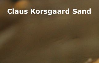 Foto. Falsk landkortskildpadde - Graptemys pseudogeographica pseudogeographica - False Map Turtle. Hanner bliver tit ikke ret store. 