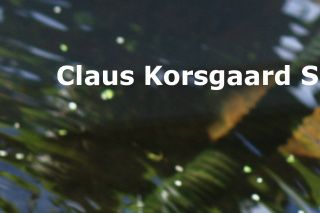 Her kan du se to Falsk Landkortskildpadde, der ligger og soler sig sammen med flere andre arter sumpskildpadder. Den bagerste og den forrest midtfor er landkortskildpadder
 
