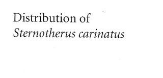 Kort over levested for Sternotherus carinatus. - Map, distribution of Sternotherus cariantus. 