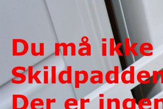 Det er vores stof-skildpadde 