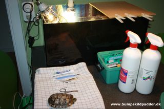 Her behandles de skildpadder, der modtages hos Sumpskildpadder. Tørdok i baggrunden.