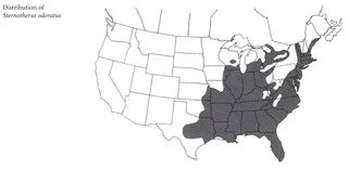 Levested for Sternotherus odoratus.
Distribution of Sternotherus odoratus.