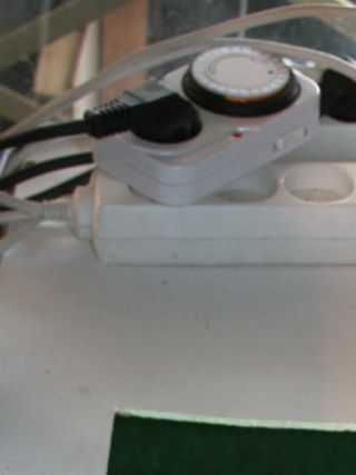 Vores vigtigste våben mod skildpaddernes sår og skjoldproblemer. 