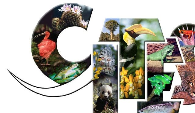 CITES logo. Conventionen on International Trade in Endangered Species of Wild Fauna and Flora.