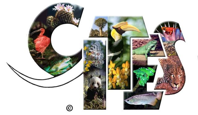 CITES logo. Conventionen on International Trade in Endangered Species of Wild Fauna and Flora.
