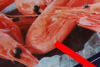 Vil du give dine skildpadder en reje, så kan rejen lægges i vand nattet over, i køleskabet, så er det meste salt trængt ud. Det samme med havfisk.