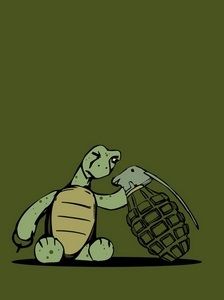 *Sikringen er trukket, når du håndtere skildpadder og deres anlæg, hvis ikke man holder en høj hygiejne!