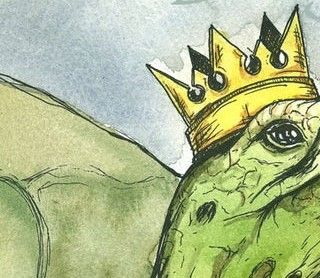 Alfa skildpadde er konge/dronning i akvariet. Nogle skildpadder styrer de andre med hård hånd andre lægger vi ikke mærke til.