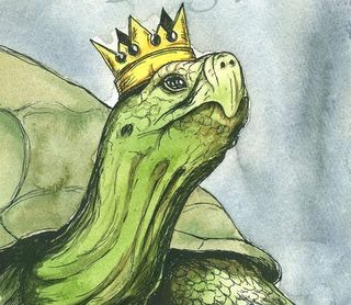 Alfa skildpadde er konge/dronning i akvariet. Nogle skildpadder styrer de andre med hård hånd andre lægger vi ikke mærke til.