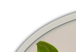 Vand dine planter med vand fra sumpskildpaddeakvariet og dine planter bliver glade.