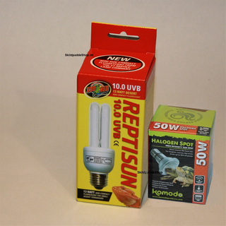 Godt sæt pærer: Reptisun UVB 10,0 13w Halogen varmepærer 50w. Til dyr over et par kilo, benyt en 26 watt og måske en 100 watt halogen varmepære. www.SkildpaddeShop.dk