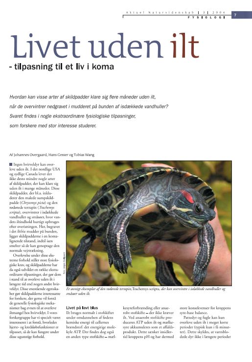 Du får en bedre læse oplevelse af denne artikel, hvis du klikker på PDF-filen ovenfor ⬆