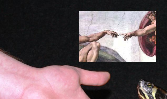 Inspiration til billedet kommer fra Michelangelo Buonarotti (1475-1564), der ene mand har udsmykket loftshvælvingen i Det sixtinske Kapel i Rom. Et af billederne er, hvor Maleren har gengivet det øjeblik, hvor Guds finger lige har sluppet Adams finger efter at have vakt ham til live ved at overføre guddomsgnisten til ham. 

Vi ville forsøge at ramme noget der mindede om det billede. Vores tanke er 
