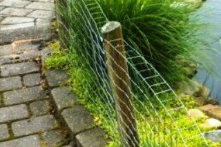 Eksempel på en sikker indhegning, af sumpskildpadder. Her er de øverst 5-10 cm., af hegnet, bukket ind mod dammen. Samtidig er der lagt fliser/chaussesten langs hegnet, så skildpadder ikke kan grave sig ud.