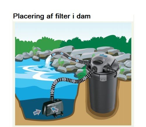 Der findes mange forskellige filter, til en havedam. 

Til en havedam, kan et gennemløbsfilter være en rigtig god investering. På billedet, kan du se, hvordan og hvor vi anbefaler du skal placere filterpumpen, på det dybeste sted i dammen. 

Du skal sørge for at din filter er godt isoleret, om vinteren, så filter ikke fryser. 

Vandbevægelse er med til at ilte vandet, hvilket er livsvigtigt for skildpadder, der ligger i dvale i dammen. Vandgennemstrømning er også vigtigt for at presse gasser ud af vandet, der vil kommer fra de nedfaldne blade og andet organisk materiale, der ligger og rådner i vandet. De dårlige gasser, vil kunne aflive skildpadder, der ligger i dvale i dammen. 

Tal med din leverandør, om størrelsen på sådan et filter, til din havedam. Størrelsen afhænger af, hvor stor dammen er, hvor mange skildpadder og fisk der er i dammen. Skildpadder sviner meget mere end fisk, så filteret skal være effektivt, hvis du skal undgå alger.  