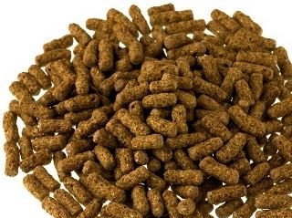Skildpaddeshop Fodersticks