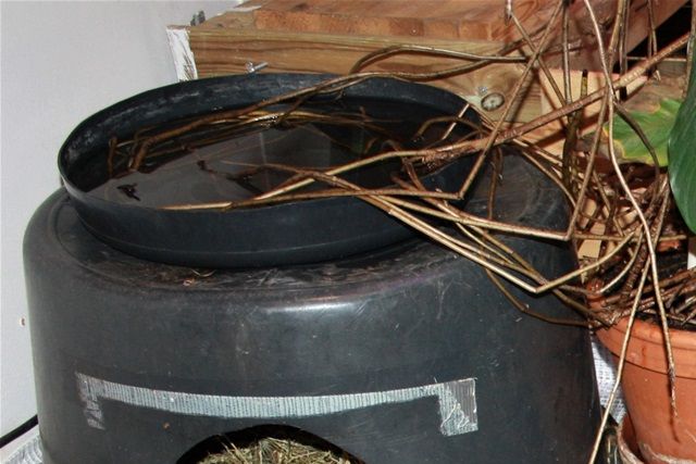 Baljer og spande er købt i et lokalt byggemarked. De kan skæres i, med en hobbykniv eller det letteste er, at benytte en fintandet stiksav. Husk, børn, få hjælp til det her af en voksen. Det kan være lidt sejt at komme igennem siden på en balje.