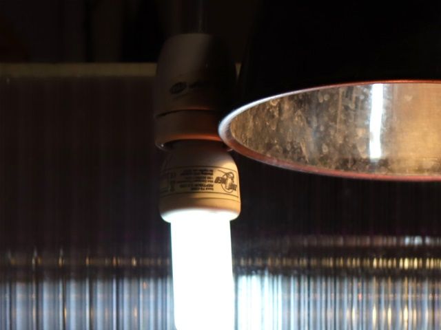 Tjek solpladsens temperatur, med et termometer. Husk afstanden til lampen, til næste gang du skifter varmepære, så har du et godt udgangspunkt, hvor højt lampen skal hænge.
UVB-pære er den til venstre. Varmepæren er monteret i lampeskærmen, lige over skildpadden. 